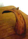 Whale Tail