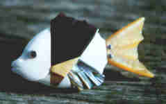 tropical Fish #1