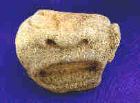 Face